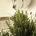 La Cittadella 아파트 *