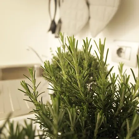 La Cittadella Appartamento *