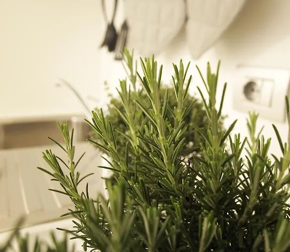 La Cittadella Lägenhet *